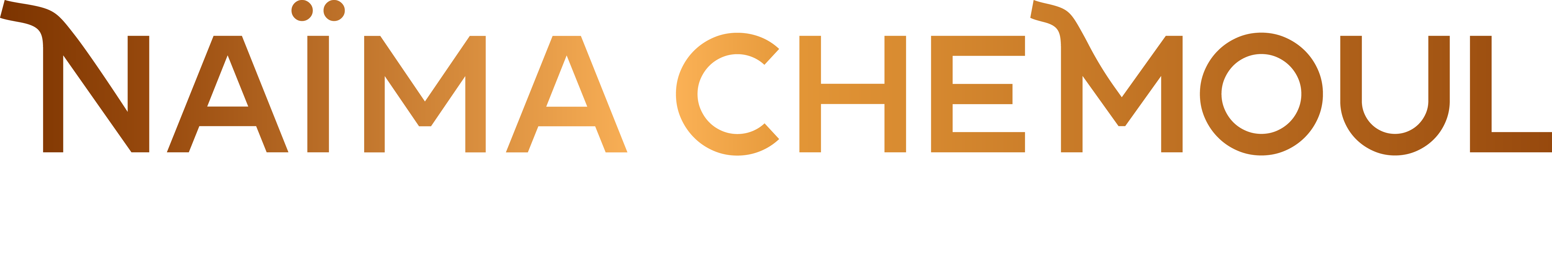 logo de Naima chanteuse de la méditerranée